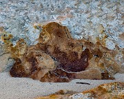 Rusty Rock 17-2319